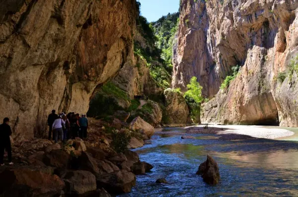 Kapıkaya Kanyonu'nda yaz mevsiminde huzurlu bir akarsu ve yeşil bitki örtüsü.