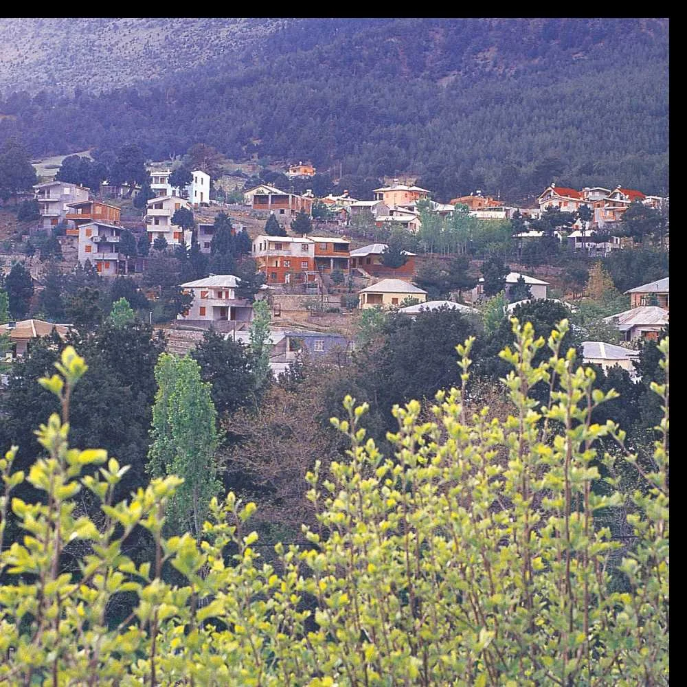 Pozantı Fındıklı Köyü Yaylası Görüntüsü Yeşil ağaçlarla çevrili Pozantı Fındıklı Köyü Yaylası, huzurlu bir yaz atmosferi sunuyor.