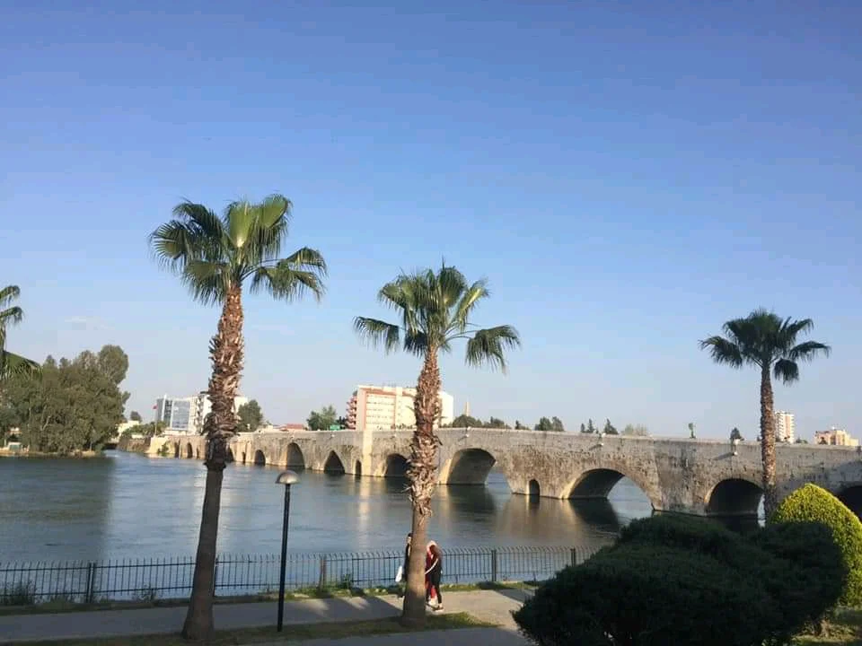 Tarihi taş köprü, palmiye ağaçları ve nehir manzarası.