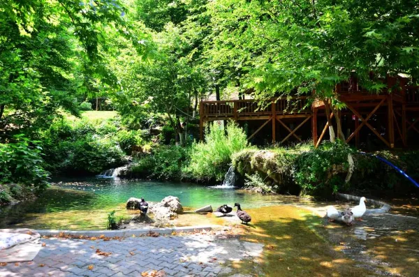 Yerköprü Mesire Alanı'nda yeşil ağaçlar, su ve ördeklerin huzur veren manzarası.