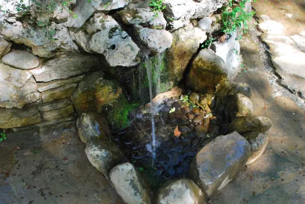 Yerköprü Mesire Alanı'nda doğal su kaynağı ve yeşil bitkilerle huzurlu bir atmosfer.