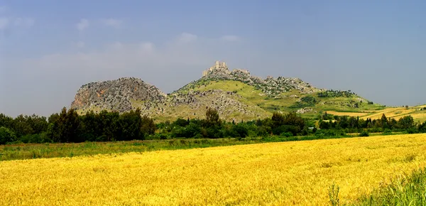 Yılan Kalesi'nde sarı tarlalar ve yeşil tepeler manzarası.