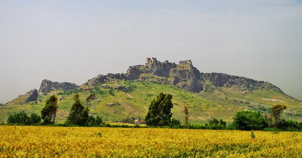 Yılan Kalesi'nin yemyeşil tepe üzerindeki yıkık kalıntısı.