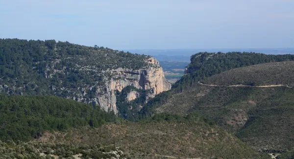 Kapıkaya Kanyonu'nda yeşil ağaçlar ve yüksek kayalıklar.