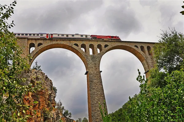 Varda Köprüsü'nde tren geçerken yeşil bitkilerle çevrili manzara.