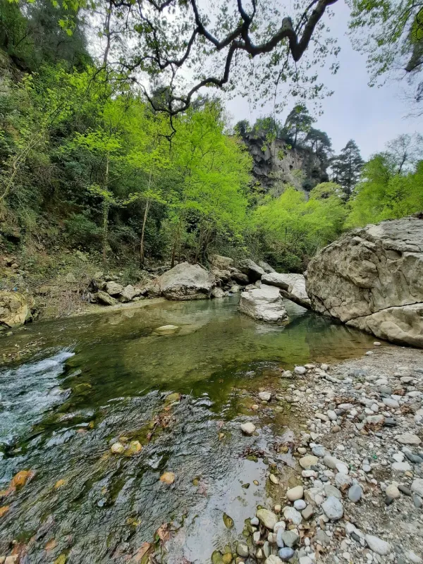Kapıkaya Kanyonu'nda berrak dere suyu ve yeşil bitki örtüsü ile huzurlu bir vadi manzarası