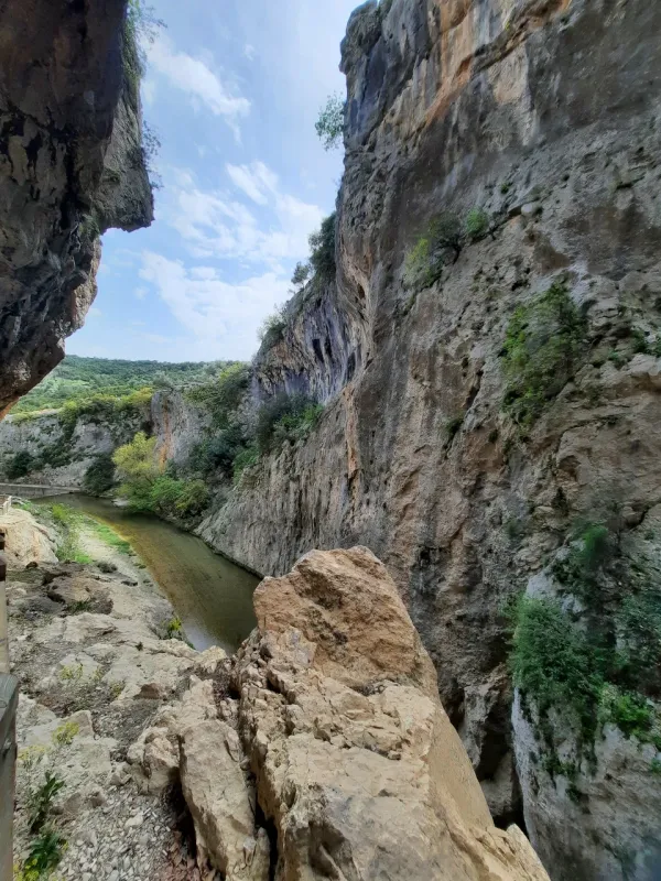 Yüksek kaya duvarları arasında akan nehir ve yeşil bitki örtüsüyle Kapıkaya Kanyonu manzarası
