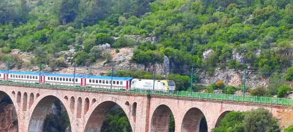 Yemyeşil doğada büyük bir köprüde hareket eden beyaz, mavi ve kırmızı tren