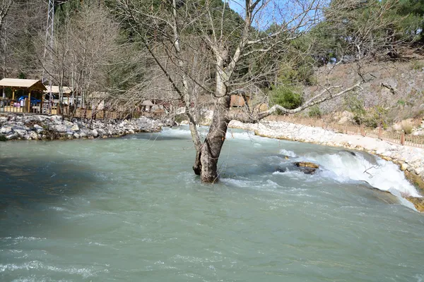 Yerköprü Mesire Alanı'nda sakin akarsu ve yeşil ağaçlar.