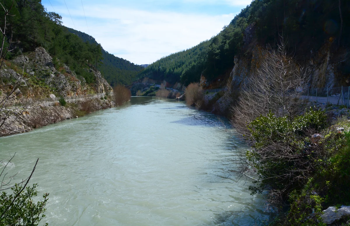 Yerköprü Mesire Alanı - Doğal Güzellik Yerköprü Mesire Alanı'nda yeşil ormanlarla çevrili nehir manzarası.