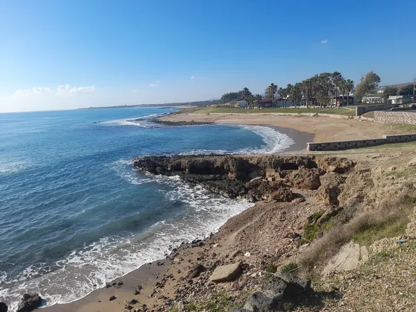 Ayas Antik Kenti'nde mavi deniz ve palmiyelerle çevrili plaj manzarası