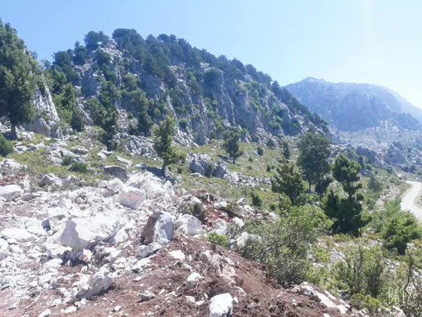 Yeşil ağaçlar ve dağlarla çevrili huzurlu bir doğa manzarası