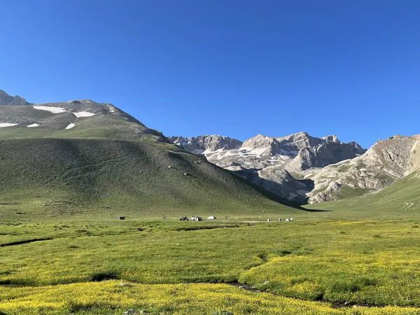 Aladağ Meydan Yaylası'nda yeşil çayır ve dağ manzarası.