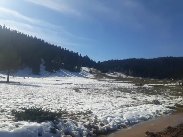 Karlı dağ manzarasında yemyeşil ağaçlar ve yapılar görünüyor.