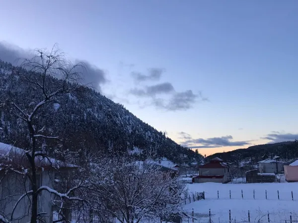 Karlı dağ manzarasında ağaçlar ve evler, huzurlu bir kış atmosferi sunuyor.