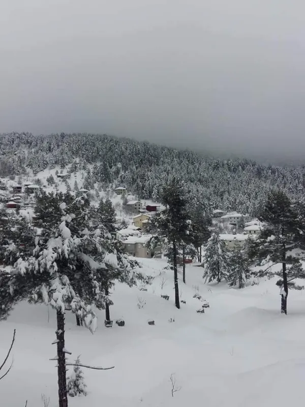 Karla kaplı orman ve dağlık alanla çevrili huzur veren kış manzarası