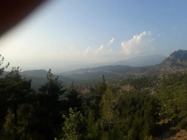 Koyu yeşil ağaçlar ve dağlar arasında huzurlu bir yayla manzarası