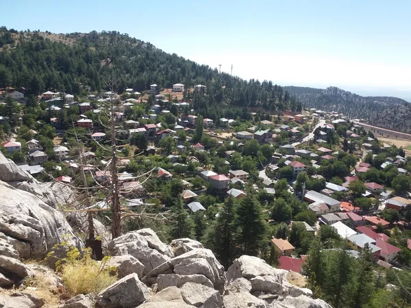 Kızıldağ Yaylası'nda ağaçlarla kaplı dağ eteklerinde evler.