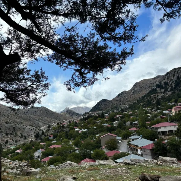 Yeşil alan ve kırmızı çatılı evlerin yer aldığı dağlık bir manzara