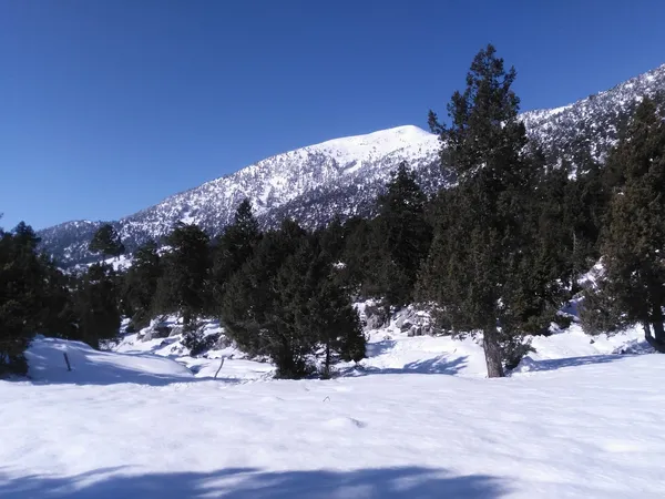 Kızıldağ Yaylası'nda karlı dağlar ve huzurlu bir kış manzarası.