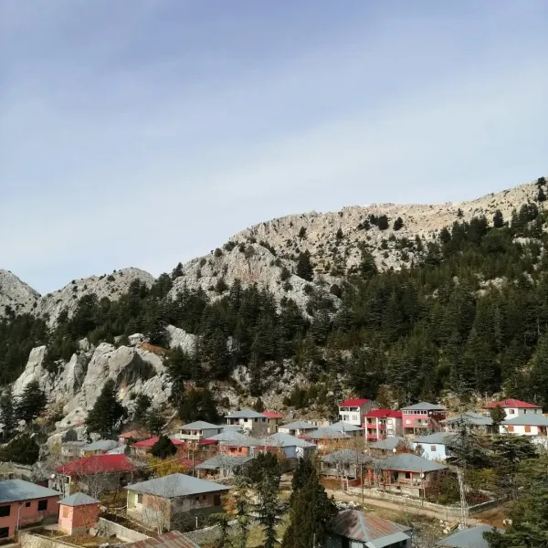 Farklı renklerde evlerin ve yüksek dağların yer aldığı huzurlu bir yayla manzarası