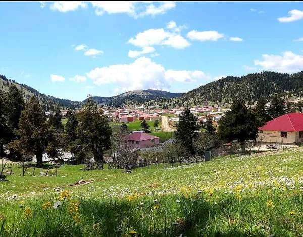 Yemyeşil bir vadideki yerleşim alanı, dağlar ve çiçeklerle çevrili.