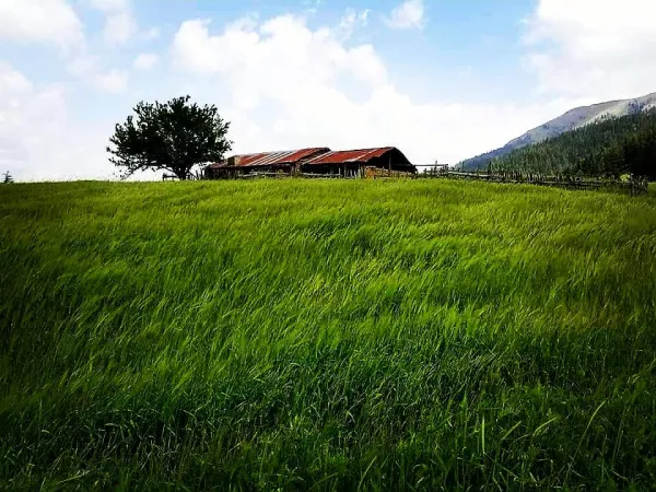 Yemyeşil tarlada eski tarz bir çiftlik evi ve dağlık manzara