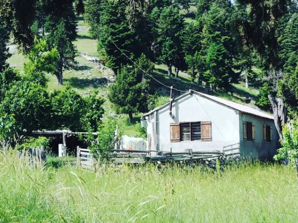 Yeşil çimenlikteki küçük ev, çevresindeki ağaçlarla huzur veren bir doğa manzarası sunuyor.