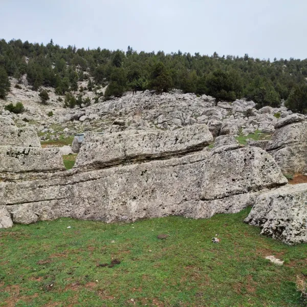 Yeşil alanda büyük taşlar ve arka planda yoğun ağaçlarla kaplı dağlar
