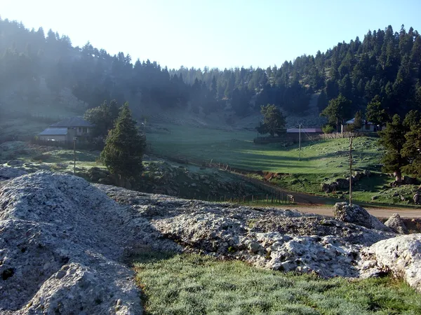 Kozan Göller Yaylası'nda kayalık zemin ve yemyeşil doğa manzarası.