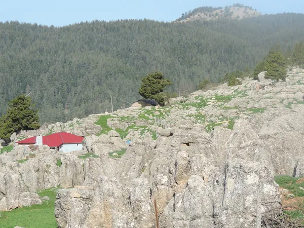 Kozan Göller Yaylası'nda yemyeşil dağlık manzara ve kırmızı çatılı ev.