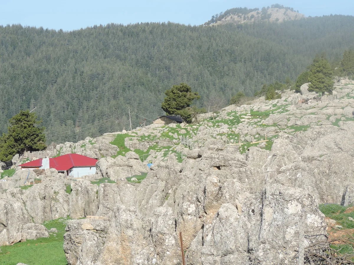 Kozan Göller Yaylası - Huzurlu Kırsal Manzara Kozan Göller Yaylası'nda yemyeşil dağlık manzara ve kırmızı çatılı ev.