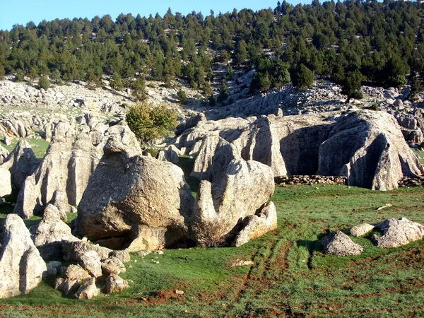Kozan Göller Yaylası'nda yemyeşil alan ve taşlar ile huzurlu manzara.