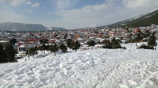 Beyaz karla kaplı evler ve yeşil ağaçların bulunduğu huzurlu kış manzarası