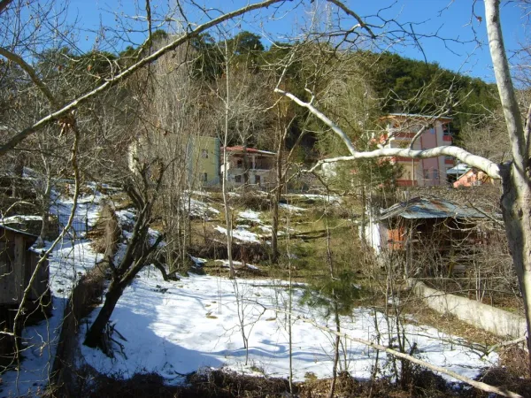 Karla kaplı zeminde ağaçlar ve modern evler ile huzur verici doğa manzarası.