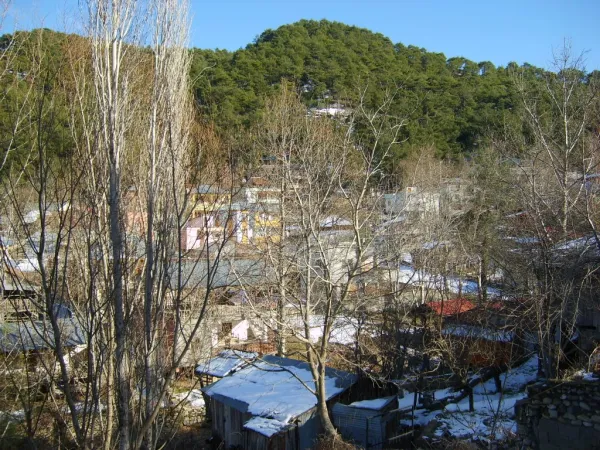 Karla kaplı köy evleri ve orman arasında açık mavi gökyüzü.