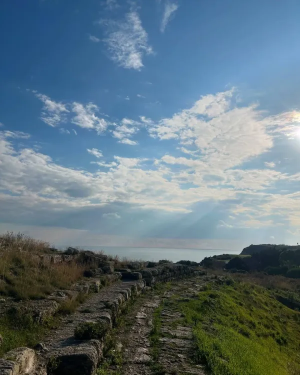 Açık mavi gökyüzü altında yeşil otlarla çevrili taş döşeli yol ve deniz manzarası