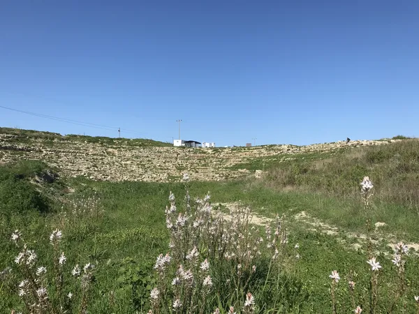 Magarsus Antik Kenti'nde beyaz çiçekler ve taş yapılar görünmekte.