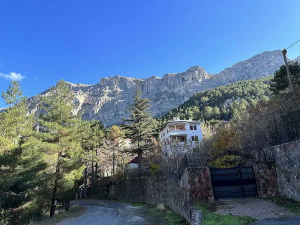 Pozantı Akçatekir Yaylası'nda dağlar ve yemyeşil çam ağaçları