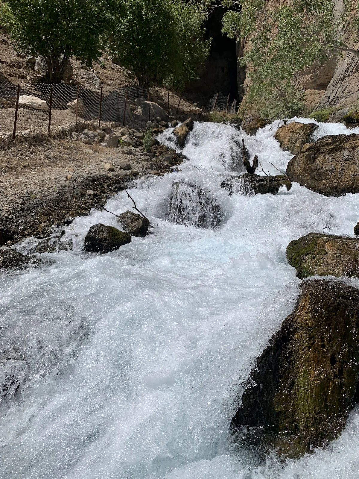 Feke Göksu Nehri'nin Doğal Güzellikleri Feke Göksu Nehri'nde akan su ve yeşil doğa manzarası.