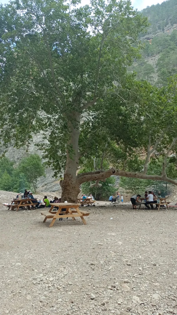 Feke Göksu Nehri'nde büyük bir ağacın altında oturan insanlar.