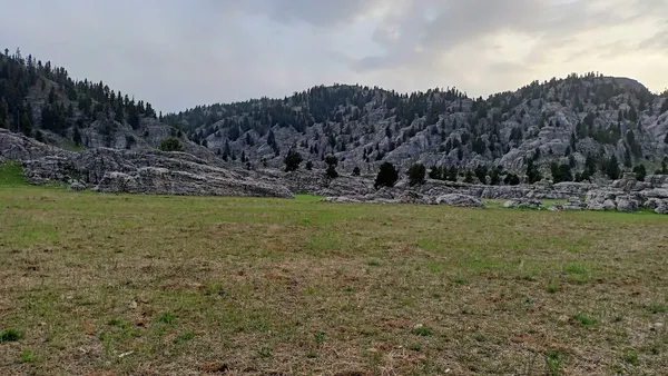 Kozan Horzum Yaylası'nda yeşil alan ve dağ manzarası