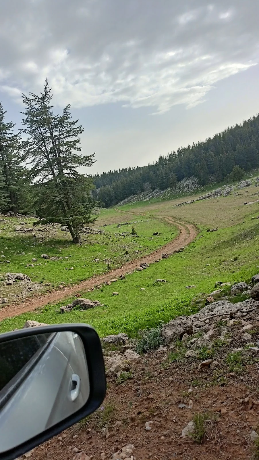 Kozan Horzum Yaylası Doğa Manzarası Kozan Horzum Yaylası'nda yeşil çimenlik alan ve doğal manzara.