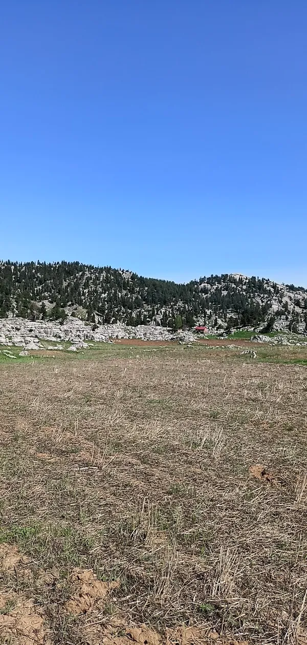 Kozan Horzum Yaylası'nda dağlar ve orman manzarası.
