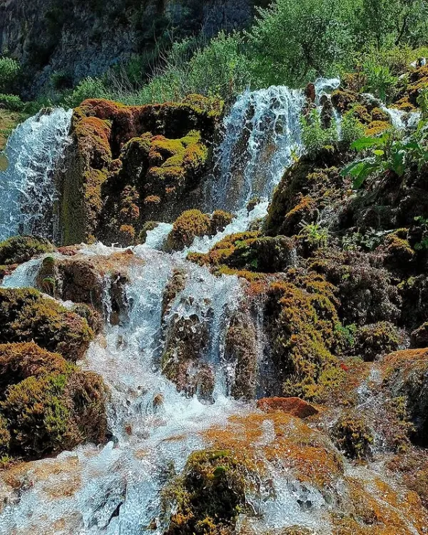 Doğal bir su kaynağından akan şelale, yeşil bitki örtüsü arasında gürülüyor.