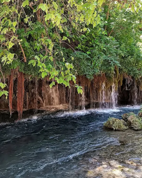 Yeşil yapraklarla kaplı alanda ince su şelaleleri akıyor.