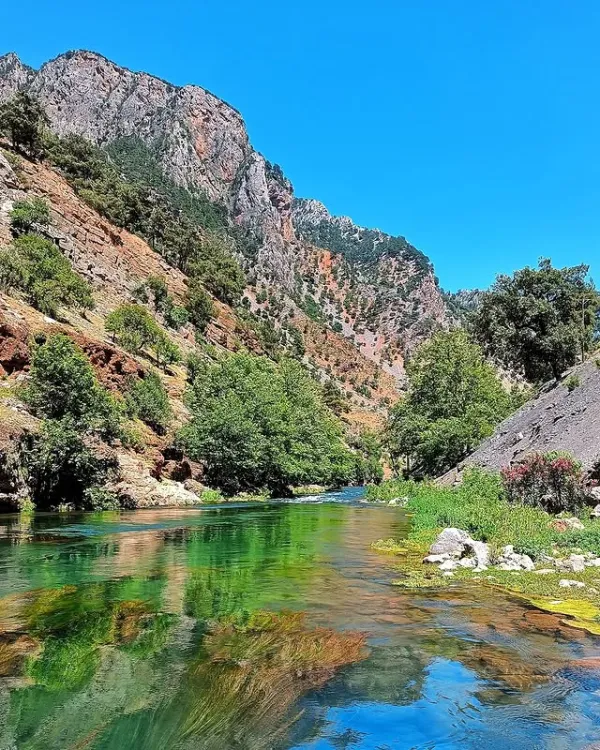 Yüksek dağlar arasında berrak yeşil su ve doğal bitki örtüsü