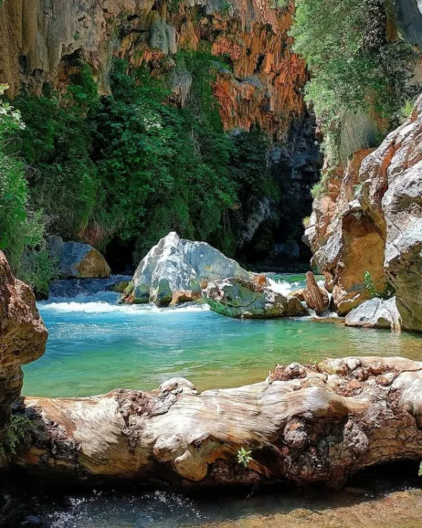 Berrak su akıntısı ve yeşilliklerle dolu derin bir vadi manzarası