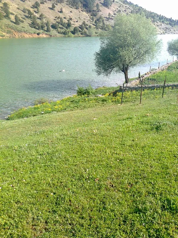 Parıldayan gölde yansıyan ağaçlar ve çiçeklerle çevrili yeşil çimen alanı