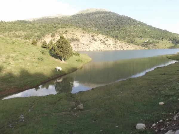 Yemyeşil doğa, göl ve dağların yansımasıyla huzurlu bir manzara